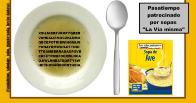 Sopa de «ave»