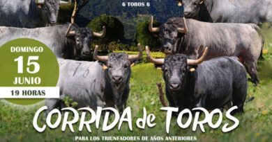 Corridón de toros en Sotillo de la Adrada