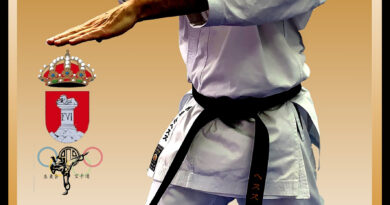 Guadarrama celebra el trofeo de Karate “VILLA DE GUADARRAMA 2025” en modalidad Katas Guadarrama celebra el trofeo de Karate “VILLA DE GUADARRAMA 2025” en modalidad Katas