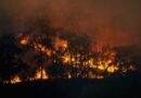Guadarrama inicia las medidas de prevención de riesgos de incendios forestales Guadarrama inicia las medidas de prevención de riesgos de incendios forestales