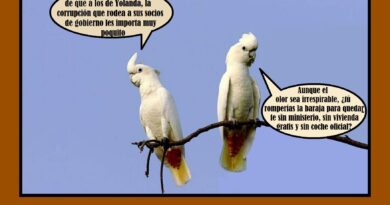 Carros y carretas