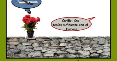 Conflictos domésticos