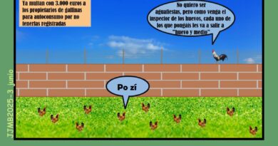 Escena tomada en un gallinero con cámara oculta