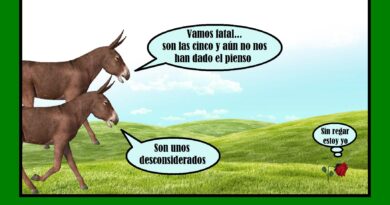 Escenas cotidianas de la fauna y la flora