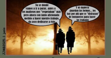 Intrusismo «profesional»