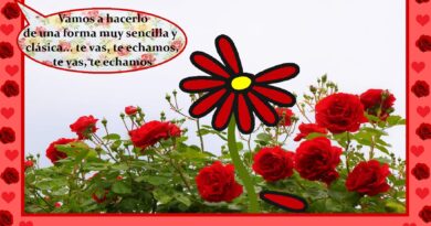 No me echen que ya me voy