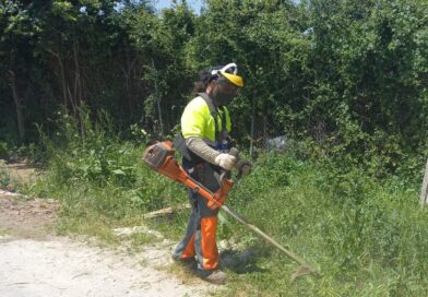  Guadarrama  intensifica los desbroces  en casco urbano y urbanizaciones