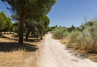 Boadilla licita la construcción y reforma de 11 kilómetros de sendas y carril bici