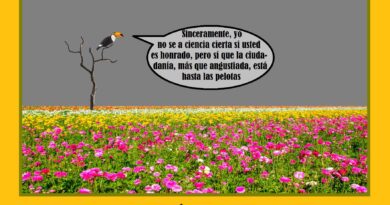 La cosa no está para florituras