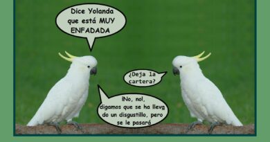 Las «penas» con pan son menos