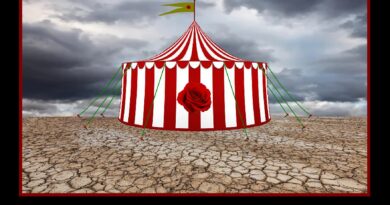 Montas un circo y te crecen los… imputados