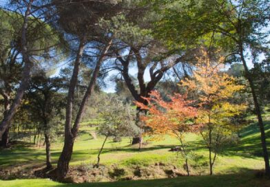 El Consistorio  integra el Patronato del Monte del Pilar en el servicio de Medio Ambiente de Majadahonda