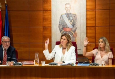 El Pleno del Ayuntamiento se opone a la intención del Gobierno de España de trasladar menores inmigrantes a Pozuelo
