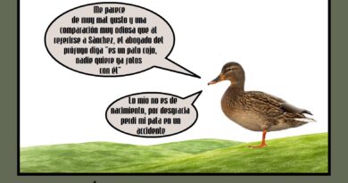De auténticos patos y otras especies
