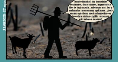 Dejen a los expertos
