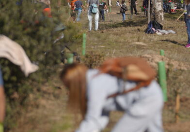 El programa de Educación Ambiental de Las Rozas cierra la temporada con cerca de 4.000 participantes
