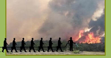 La burocracia no apaga el fuego