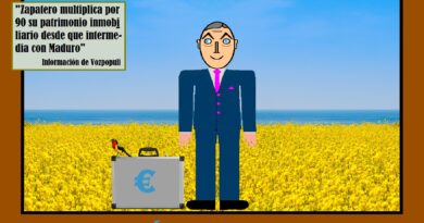 ¿La política enriquece?