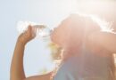 Recomendaciones del Ayuntamiento de Las Rozas ante la llegada de otra ola de calor Recomendaciones del Ayuntamiento de Las Rozas ante la llegada de otra ola de calor