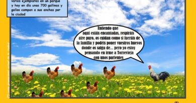 Torrevieja se vive