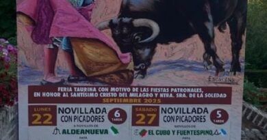 Feria taurina de Villaviciosa de Odón 2025