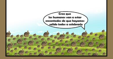 Día Internacional del Conejo