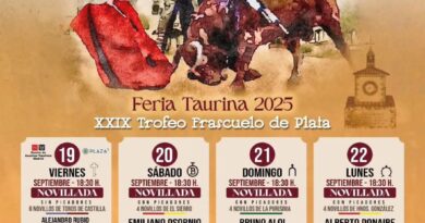 Feria taurina de novilladas de Moralzarzal