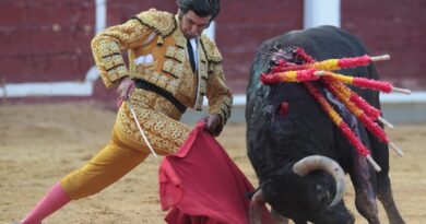 El Psoe ataca nuevamente a la tauromaquia