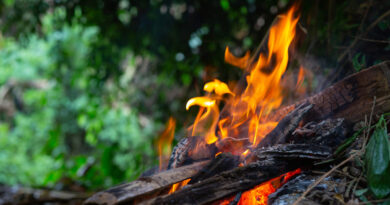 incendios en españa