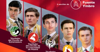Gran Final de la Liga Nacional de Novilladas