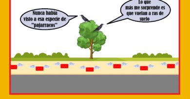El dinero vuela