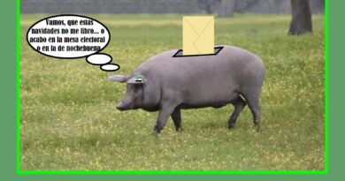 Extremadura a las urnas