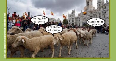 Fiesta de la trashumancia 2025