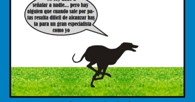 Galgos