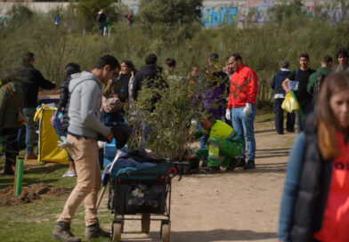 Nueva Gran Plantación Familiar en Las Rozas