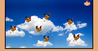 Huevos de gallinas criadas en el séptimo cielo