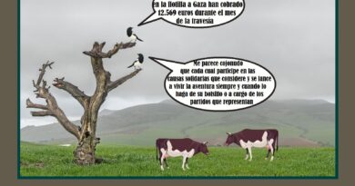 Ni excursiones pagadas, ni viajes de vuelta gratis