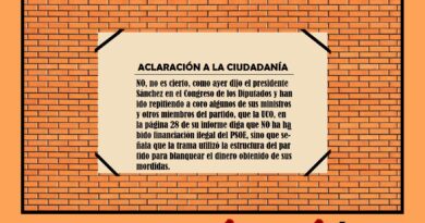 Puntualización