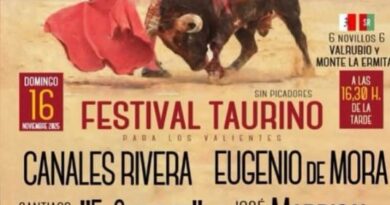 Festival taurino en San Martín de Valdeiglesias el día 16 de noviembre