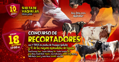 Festejos taurinos en Villanueva del Pardillo