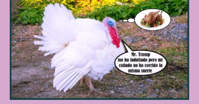 Acción de gracias, una lotería