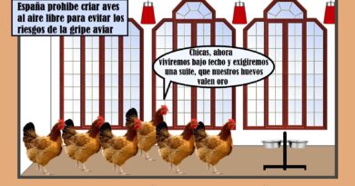 Como auténticas reinas