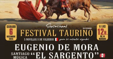 El Festival de San Martín de Valdeiglesias se celebrará el día 6 de diciembre