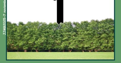 El uno es quien decide