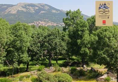 VIII Encuentro de Turismo de Observación de la Naturaleza “NatureWatch Madrid 2025” en San Lorenzo de El Escorial VIII Encuentro de Turismo de Observación de la Naturaleza “NatureWatch Madrid 2025” en San Lorenzo de El Escorial