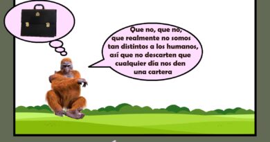 La evolución de las especies