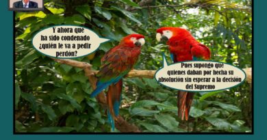 Los riesgos de lanzarse a la piscina