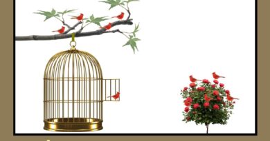 Pájaros en libertad