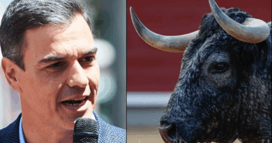 Nuevo ataque del Psoe a la Tauromaquia