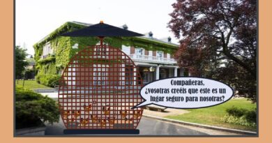 Todo sea por la seguridad